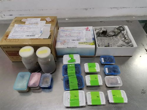 海關(guān)嚴(yán)查進(jìn)境郵政快件，搖身一變的日用品驚現(xiàn)活體甲蟲