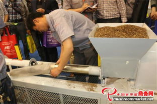 2014中國(guó)鄭州全國(guó)食用菌新產(chǎn)品新技術(shù)博覽會(huì) 引領(lǐng)食用農(nóng)產(chǎn)品研發(fā)新風(fēng)向